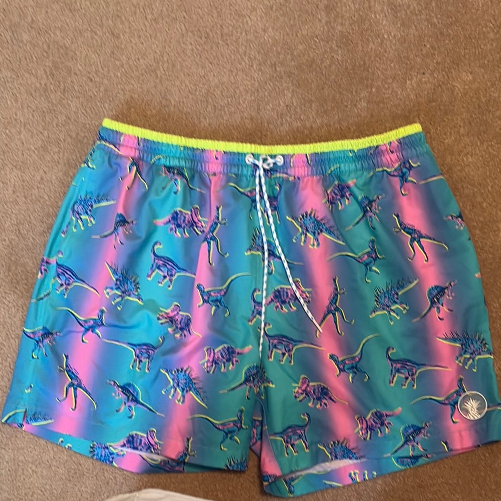 Chubbies Blue and Yellow Swim Shorts